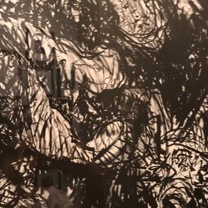 Meet your Posher, Lizzy